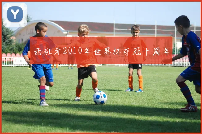 西班牙2010年世界杯夺冠十周年