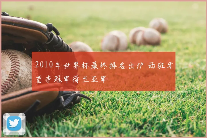 2010年世界杯最终排名出炉 西班牙首夺冠军荷兰亚军